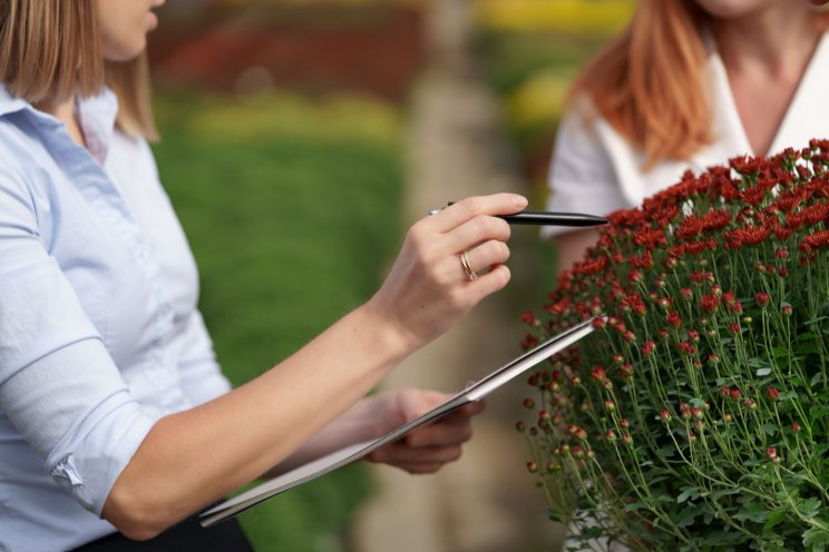 Dispelling greenhouse myths about business management solutions Dispelling greenhouse myths about business management solutions