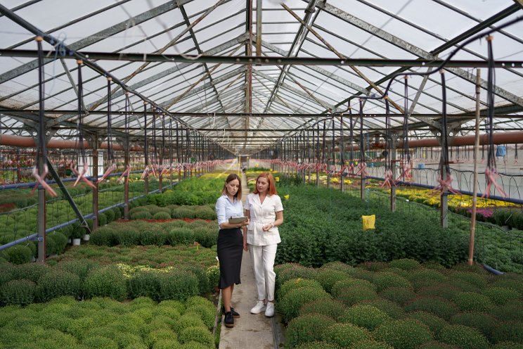 How to prevent fires at your greenhouse
How to prevent fires at your greenhouse