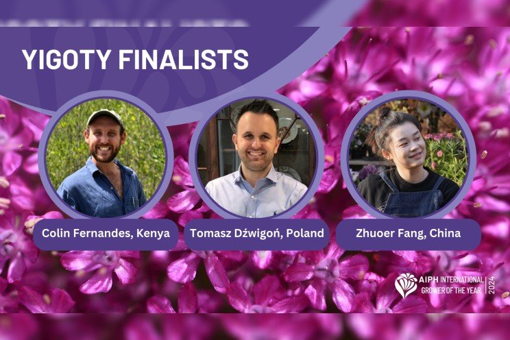 Three young horti professionals reach finals for AIPH award