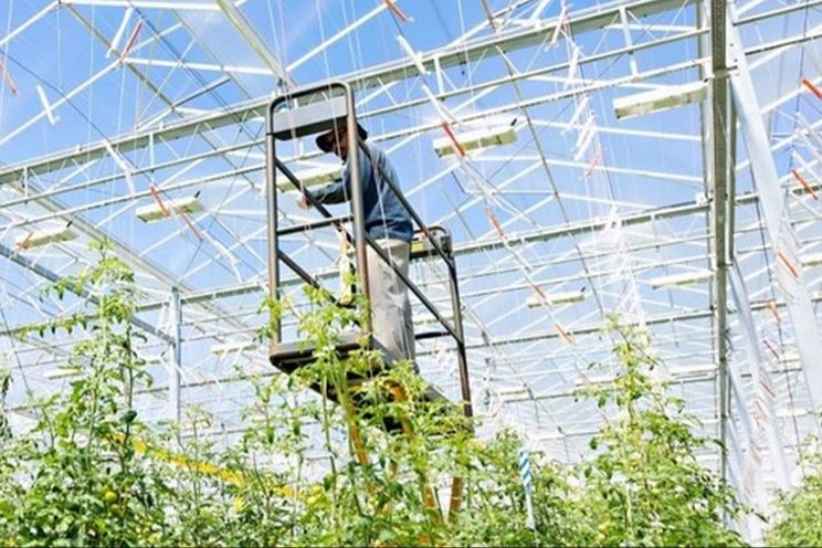 Canadian government investing in horti research and innovations Canadian government investing in horti research and innovations