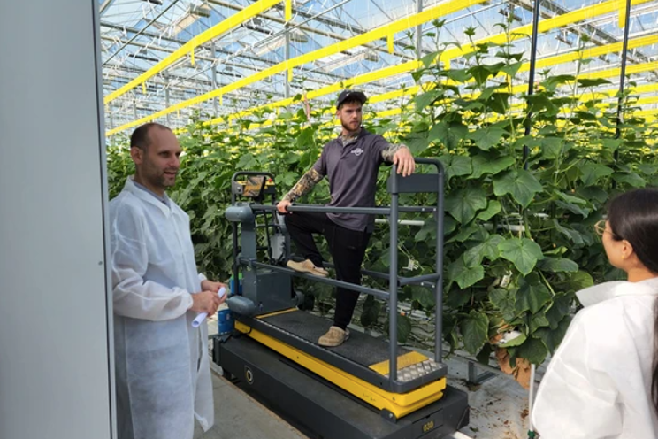 In Windsor-Essex, 5G feeds local greenhouse industry