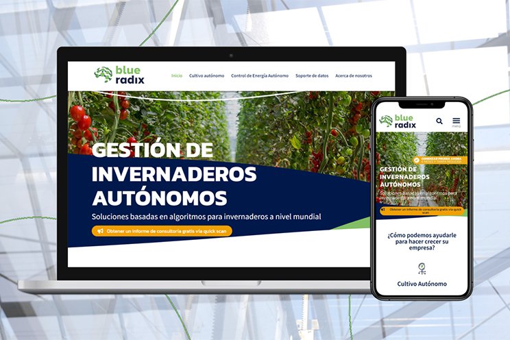 Website Blue Radix now available in Spanish