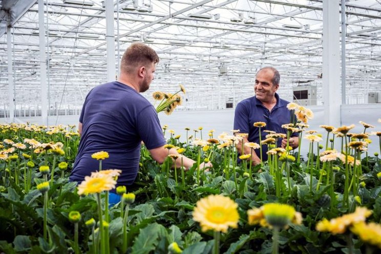 MPS supports new direction of Royal FloraHolland