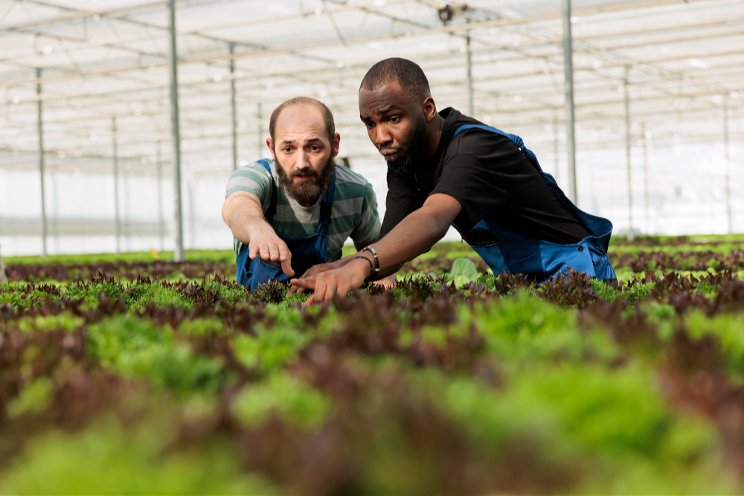 Empowering the next gen of ag leaders through tech