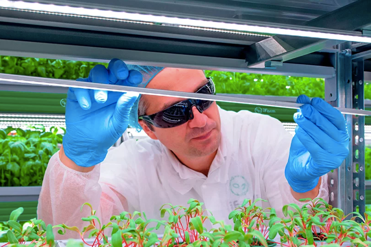 iFarm develops a cutting-edge DFT system for record yields iFarm develops a cutting-edge DFT system for record yields