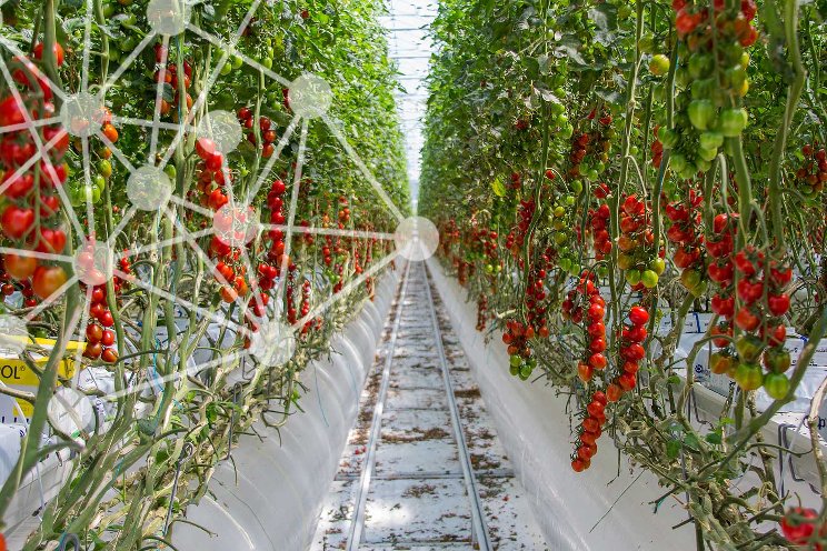 Crop strategy optimization added to Autonomous Growing Crop strategy optimization added to Autonomous Growing