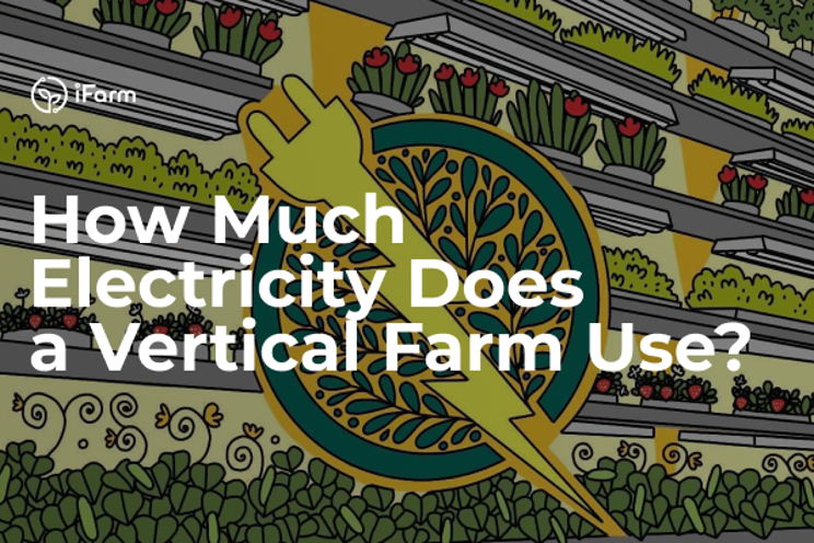 How much electricity does vertical farm use?