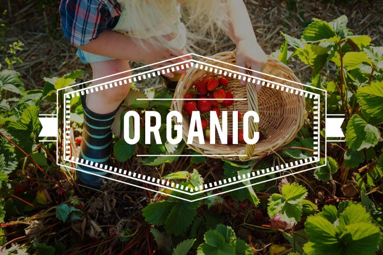 Changes aim to strengthen organic program