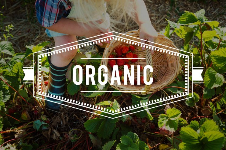 Changes aim to strengthen organic program Changes aim to strengthen organic program