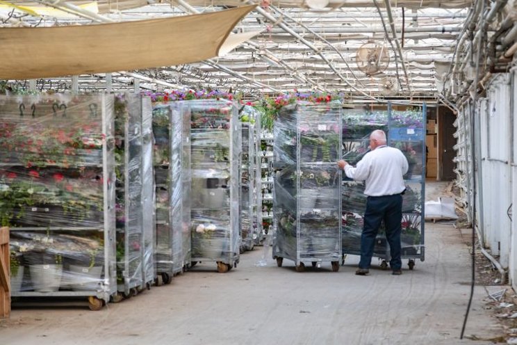 How to evaluate your greenhouse insurance needs for 2025 How to evaluate your greenhouse insurance needs for 2025
