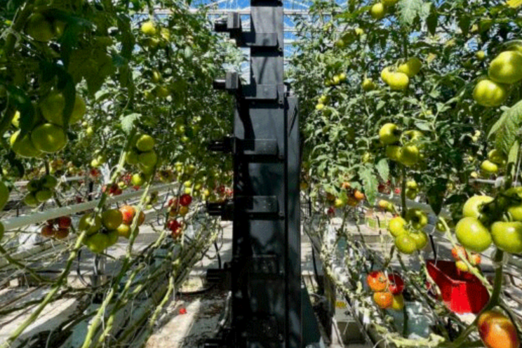 How AI and machine vision are transforming greenhouse agri How AI and machine vision are transforming greenhouse agri