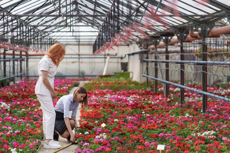 American Floral Endowment reaches major milestone American Floral Endowment reaches major milestone