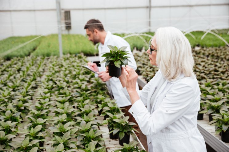 Tips for managing your greenhouse risks and insurance Tips for managing your greenhouse risks and insurance