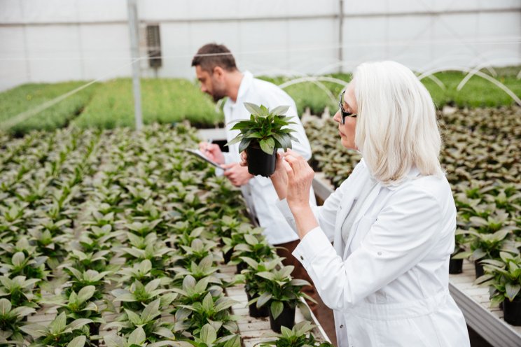 Tips for managing your greenhouse risks and insurance