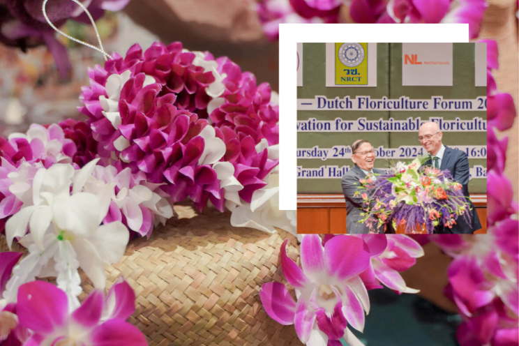 Dutch Thai Floriculture Forum 2024 in Bangkok envisions collaboration Dutch Thai Floriculture Forum 2024 in Bangkok envisions collaboration