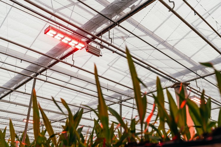 Newcomer NLight plans to boldly mark their presence at Greentech
Newcomer NLight plans to boldly mark their presence at Greentech