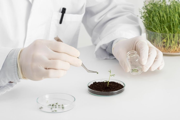 Perfecting crop genetics for indoor growing Perfecting crop genetics for indoor growing
