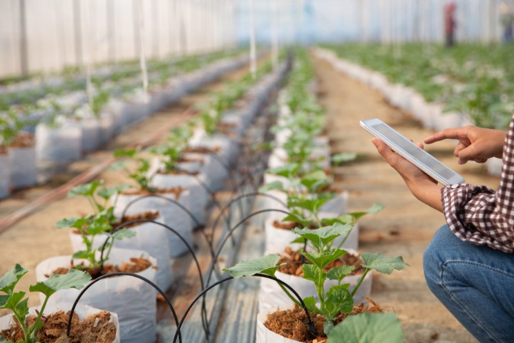 Connected farming and the IoT
