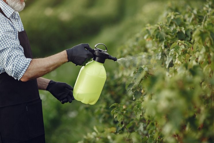 A look at the past, present, and future of biopesticides A look at the past, present, and future of biopesticides