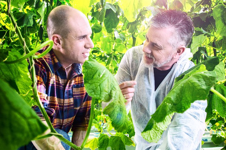 Plant Empowerment launches brand-new knowledge platform