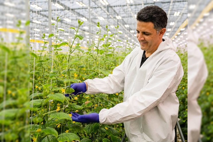 Prism Farms and Sollum - a winning combo! Prism Farms and Sollum - a winning combo!