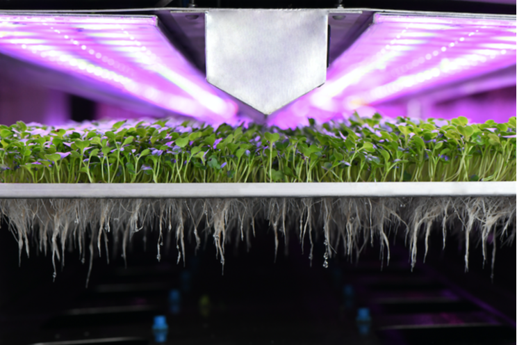 2023 Vertical Farming World Awards finalists announced