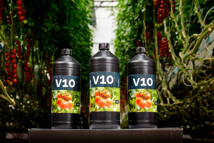 Valto Biocontrol wins challenge Mexico