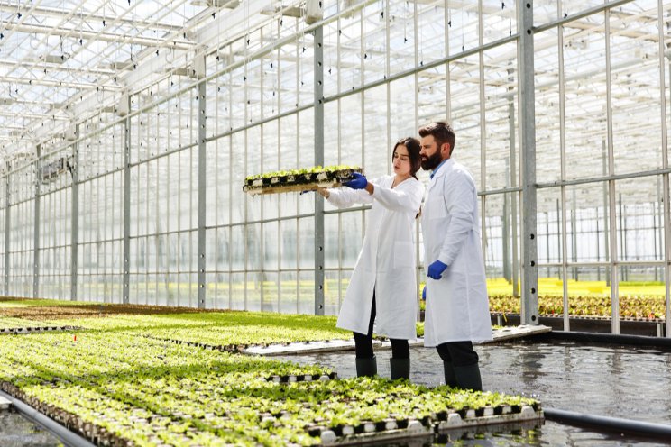 Lufa Farms integrates greenhouse tech to max production
