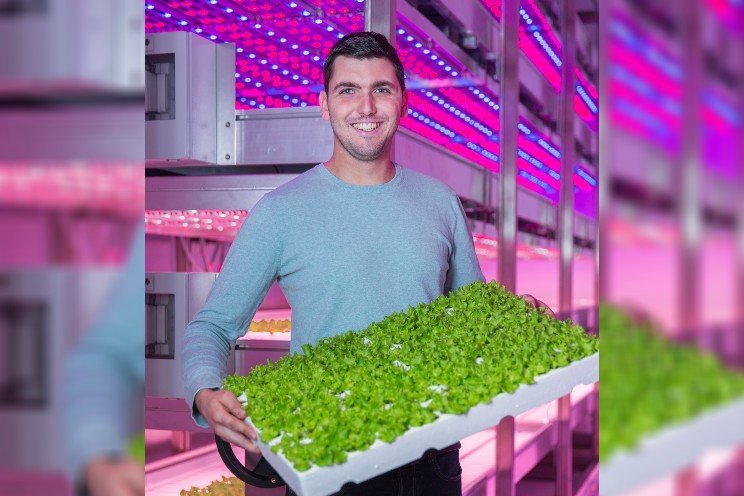 More efficient cultivation with controlled raising under LED lighting More efficient cultivation with controlled raising under LED lighting