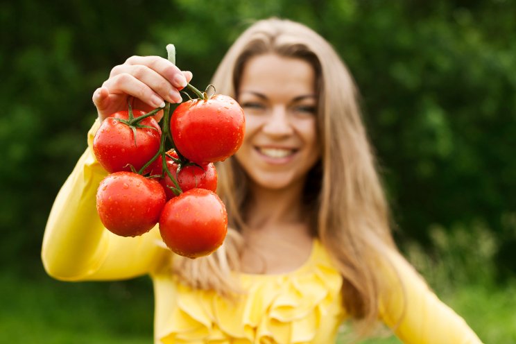 Data centers to help the UK tomato crisis