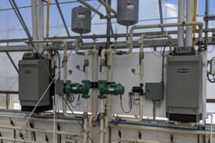 Greenhouse growers seek higher efficiency in boilers