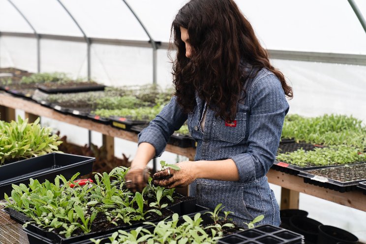 Canadian farm gender pay gap still wide but narrowing