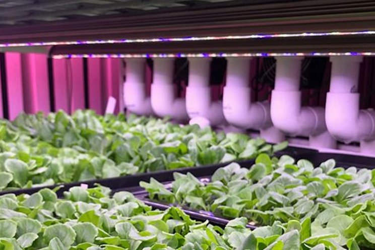 Increase production up to 33% in shipping containers Increase production up to 33% in shipping containers