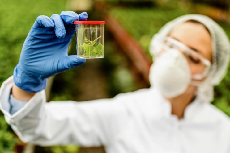 Prevention of outbreaks of bacterial plant diseases Prevention of outbreaks of bacterial plant diseases