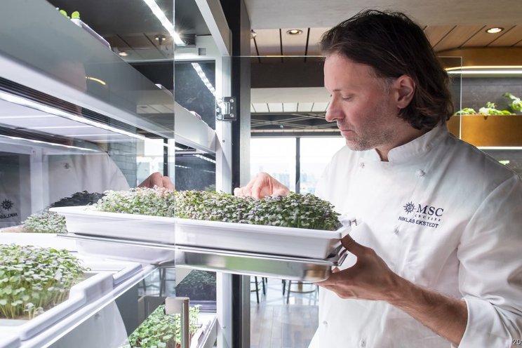 Babylon Micro-Farms will use $8M in fresh funding