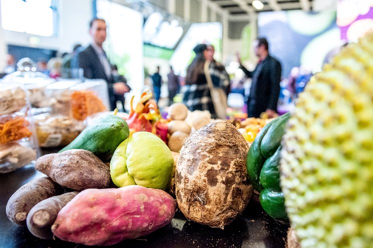FRUIT LOGISTICA more international than ever FRUIT LOGISTICA more international than ever