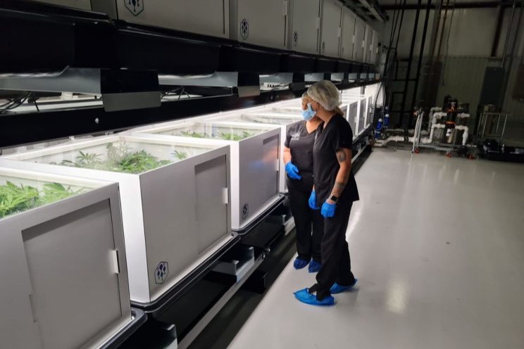 World's first Grow as a Service precision operation