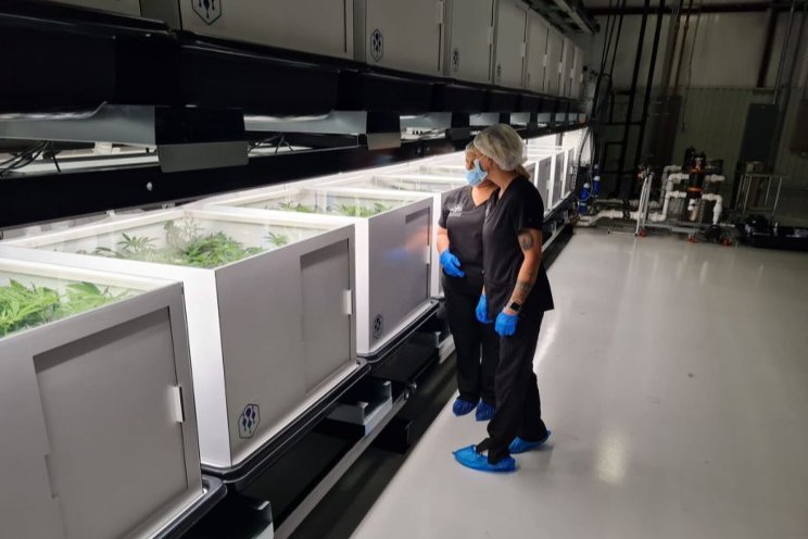 World's first Grow as a Service precision operation World's first Grow as a Service precision operation