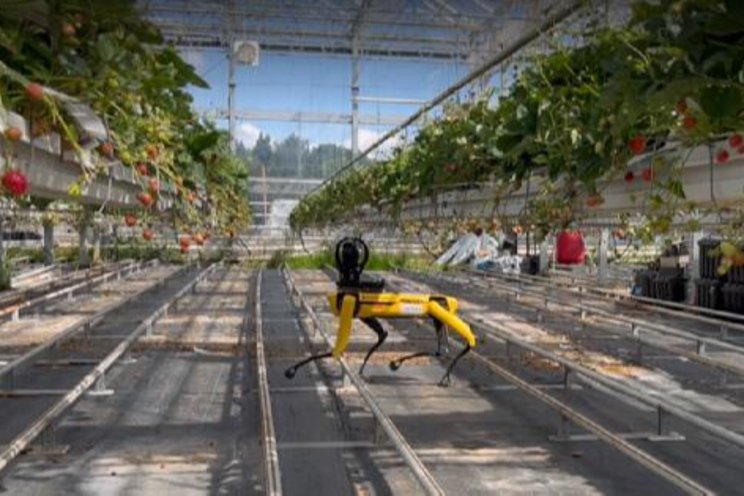 Robocrop: The robot assistants to increase productivity
