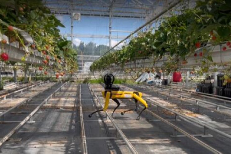 Robocrop: The robot assistants to increase productivity Robocrop: The robot assistants to increase productivity