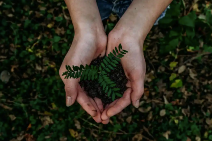 KBio and ZERO’s plant-based partnership KBio and ZERO’s plant-based partnership
