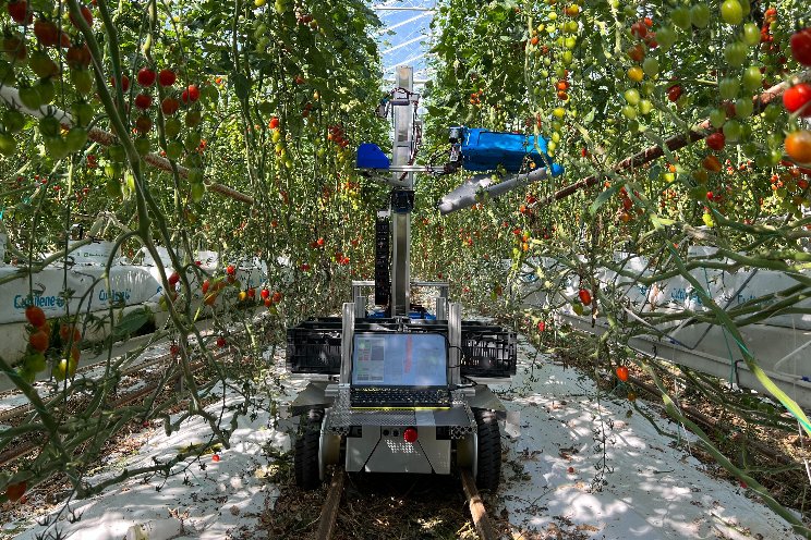 New harvesting robot, 8 times faster than before