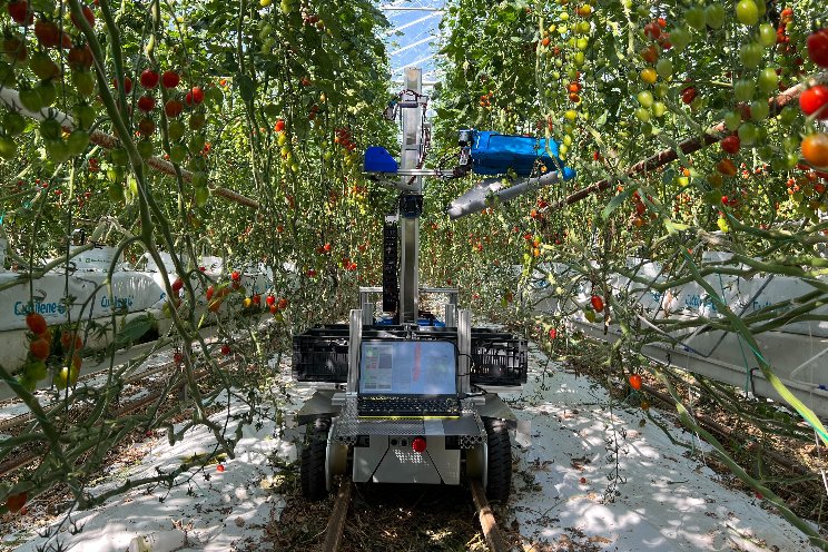 New harvesting robot, 8 times faster than before New harvesting robot, 8 times faster than before