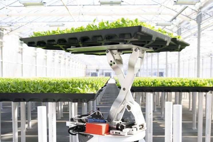 Hippo Harvest raises $21m for advanced greenhouse tech