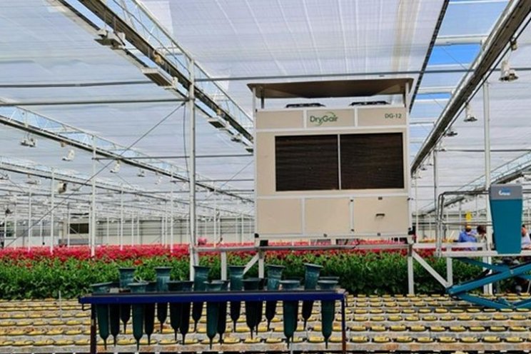 How greenhouse growers are cutting heating costs during winter How greenhouse growers are cutting heating costs during winter