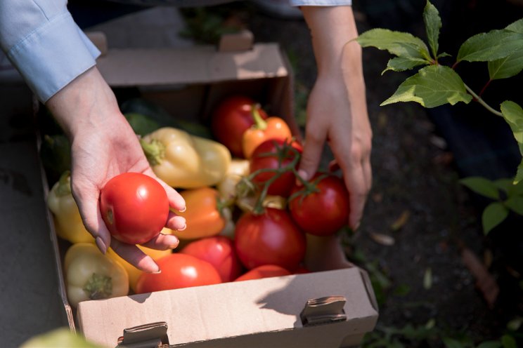 Understanding the farm-to-table movement