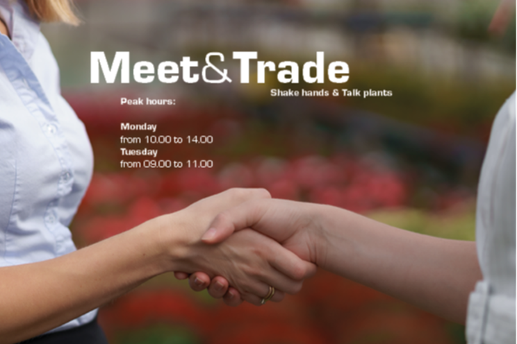 Seasonal fairs in 2023 with Meet & Trade Seasonal fairs in 2023 with Meet & Trade