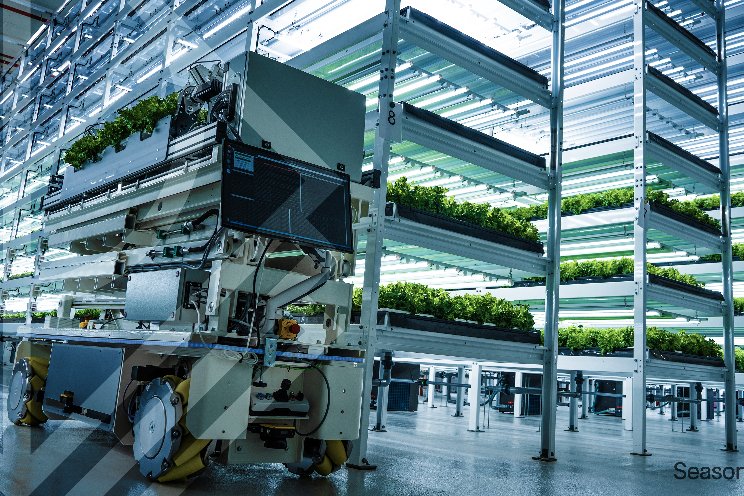 Cultivatd and Seasony accelerate CEA's robotics automation adoption Cultivatd and Seasony accelerate CEA's robotics automation adoption