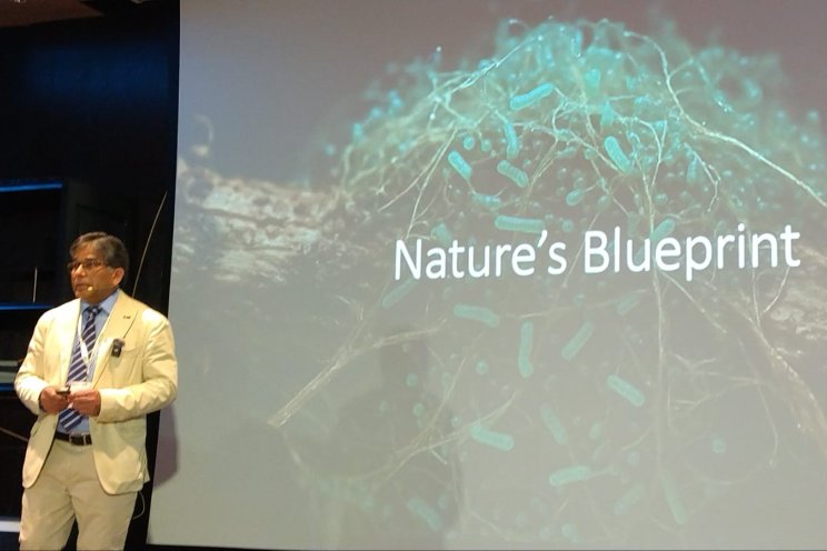 961K GBP biofilm biofertiliser project to tackle global fertiliser crisis 961K GBP biofilm biofertiliser project to tackle global fertiliser crisis