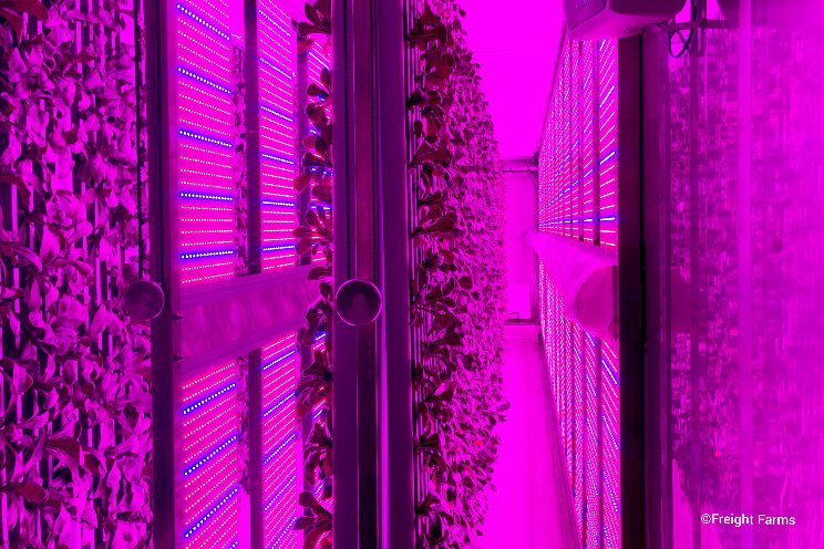 Freight Farms expands container farm adoption in nonprofit sector